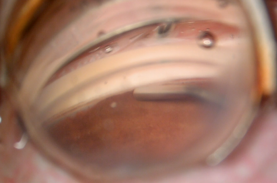 20251014164642_0383.png
