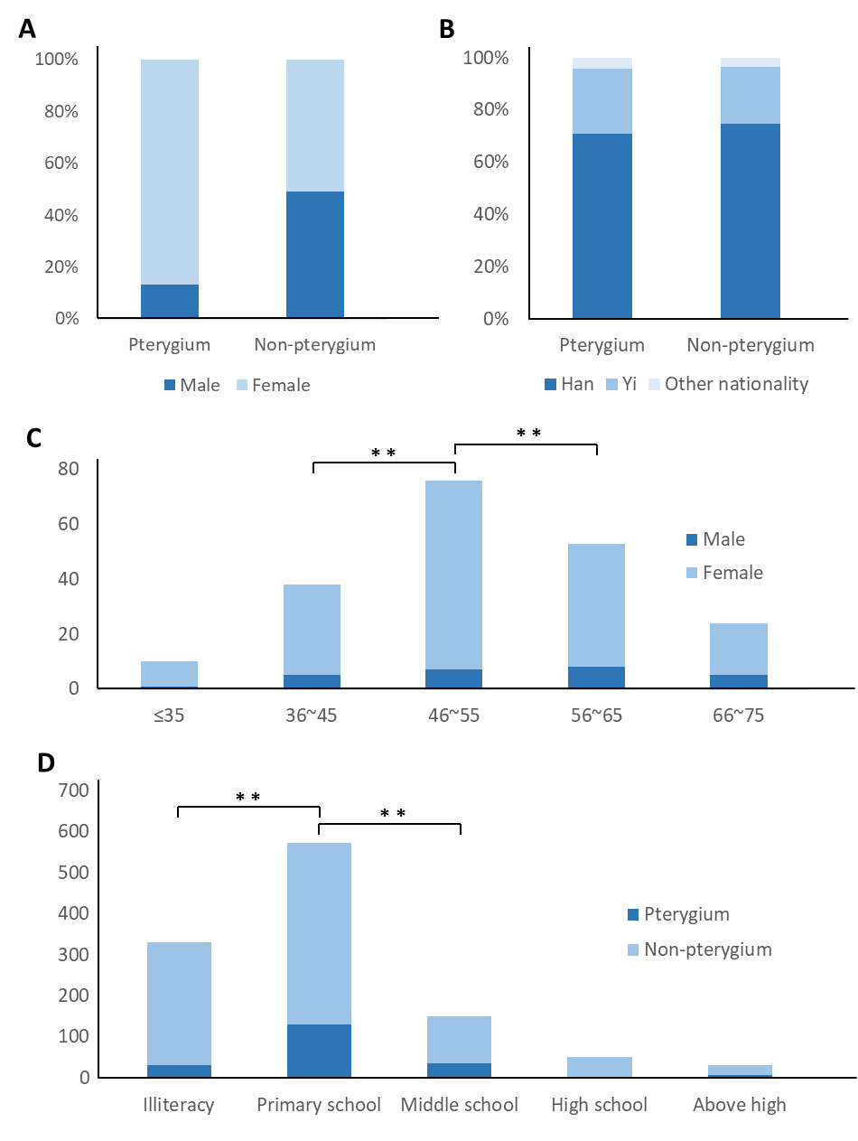 Figure 2：Statistical analysis of pterygium prevalence in different gender, ethnic groups, age and educational attainment levels in pterygium patients in 2023. (A) Female patients demonstrated substantially higher rates than male patients (p < 0.001, χ² = 89.261); (B) No statistically significant ethnic variations were observed across different groups (p = 0.57, χ² = 1.125); (C) In pterygium patients, cases in the 46-55 year cohort showed a substantially larger number than other age groups (p < 0.001, χ² = 31.732); (D) For the educational attainment level analysis, 63% of the pterygium patients had primary school education, representing a statistically significant majority compared to other education levels (p < 0.001, χ² = 64.467)