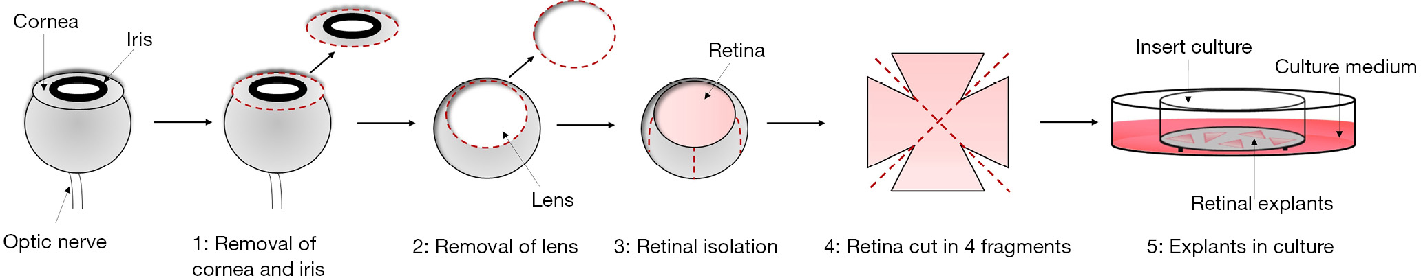 figure2