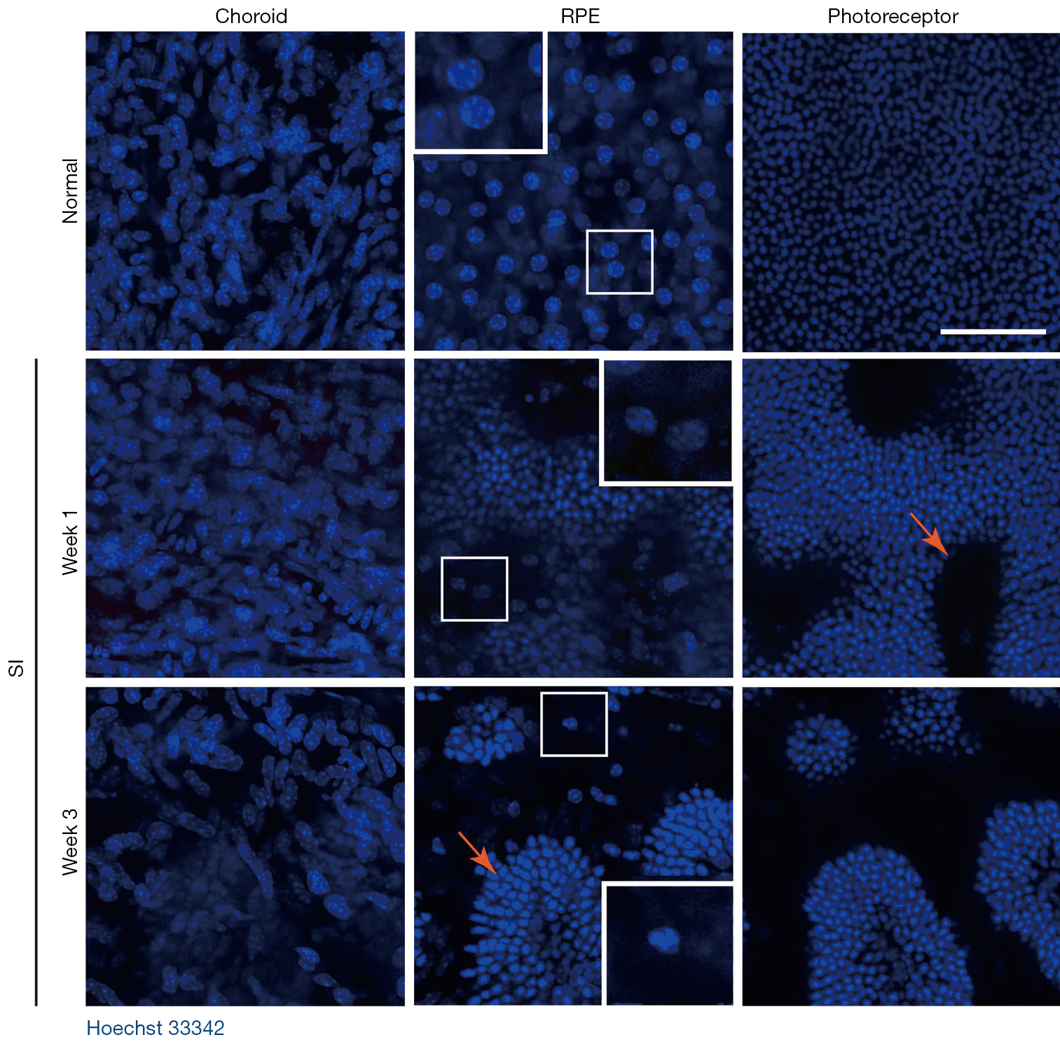 figure6