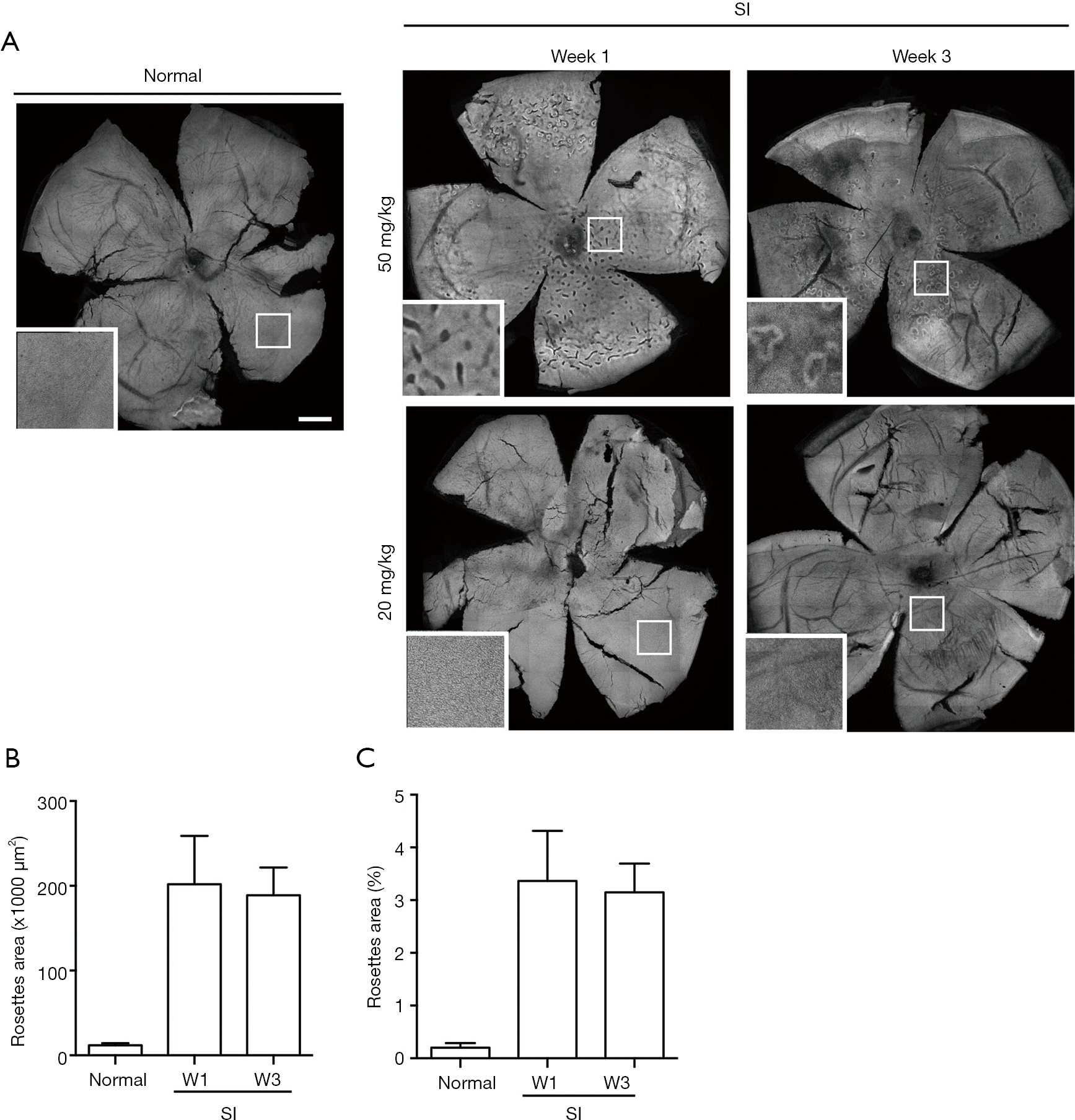 figure7