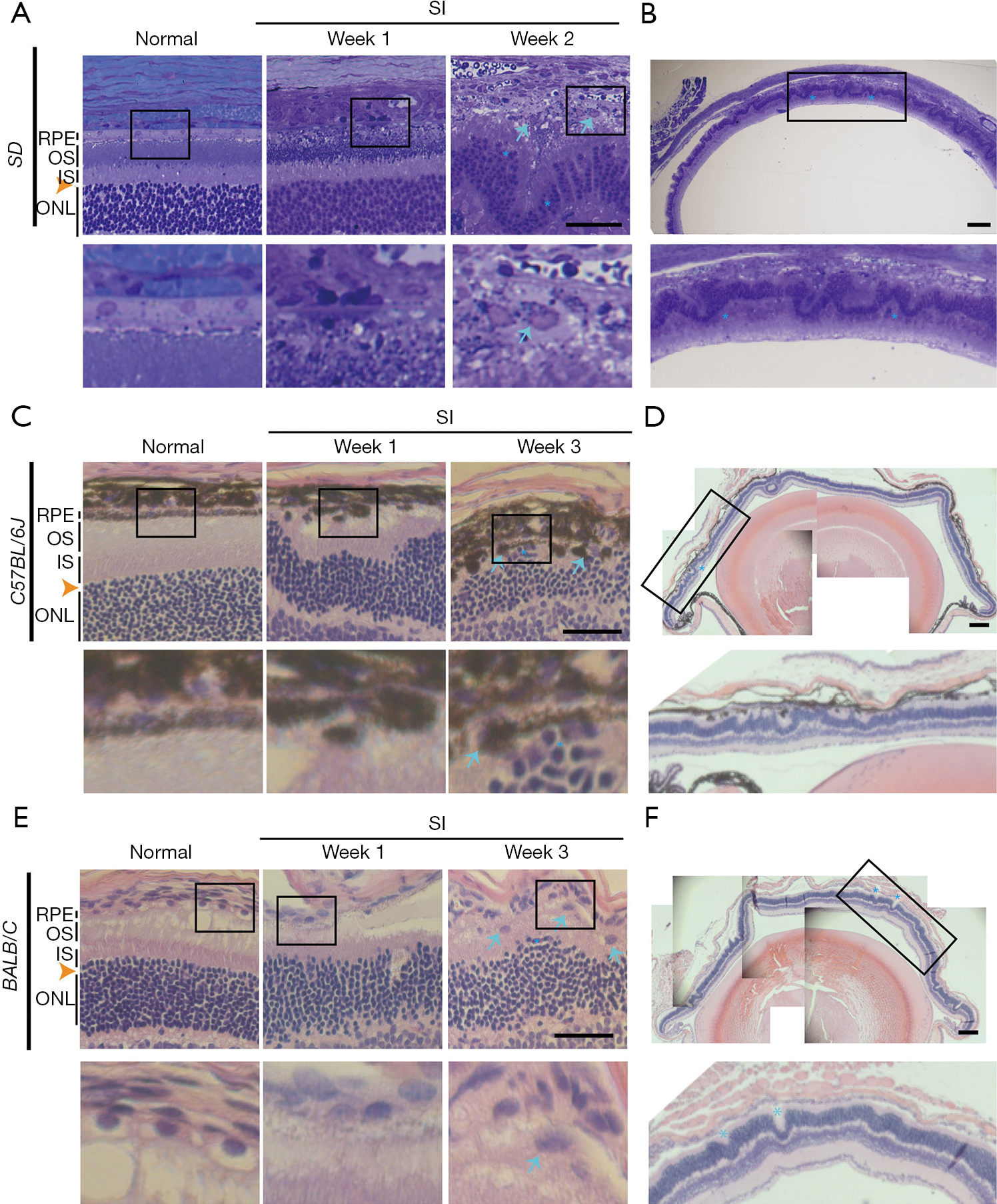 figure1