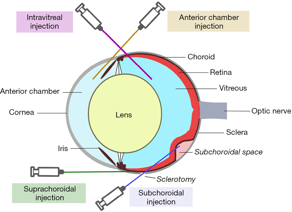 figure2