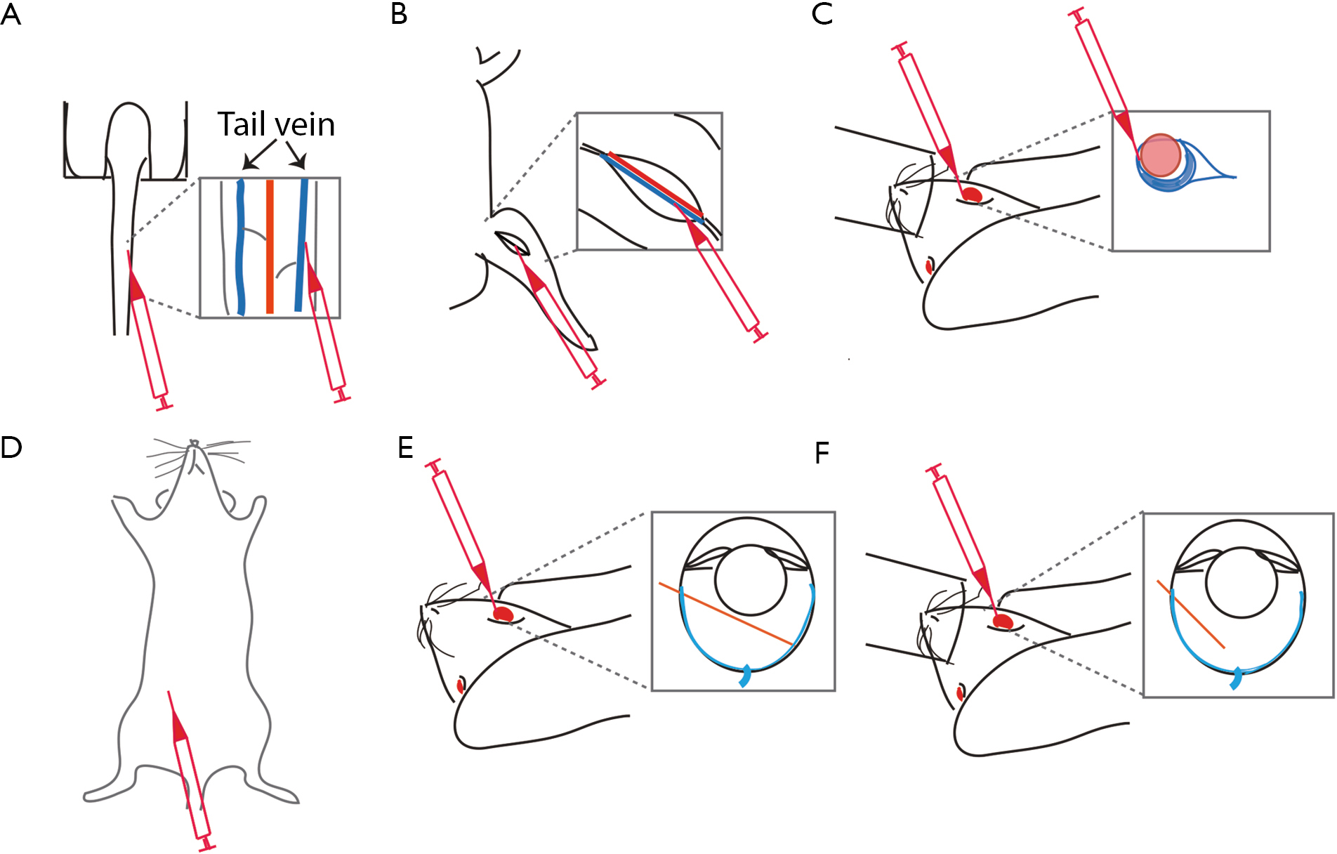 figure1