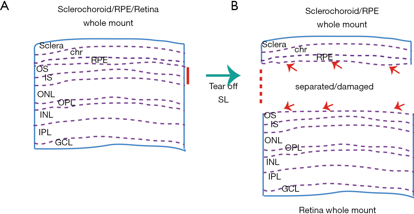 figure4