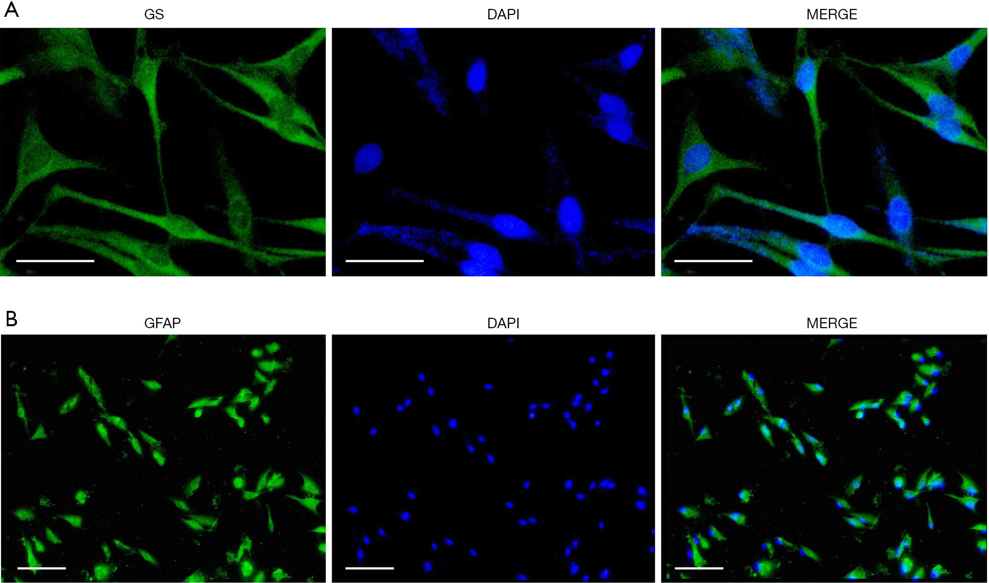 figure1