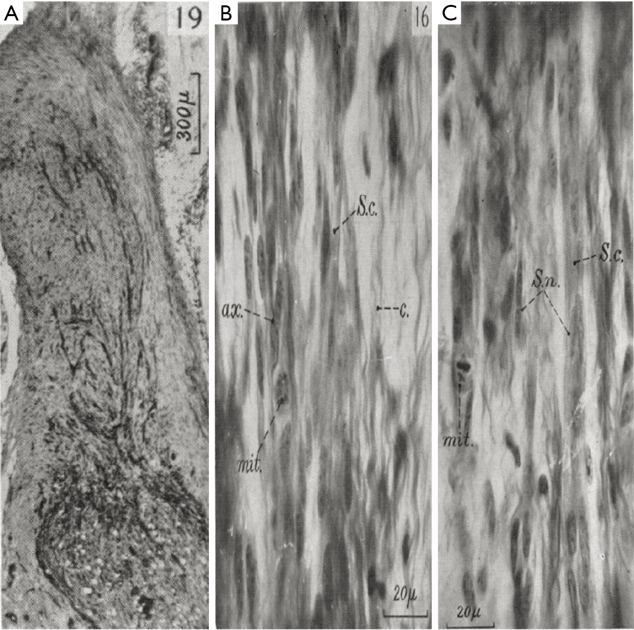 figure7