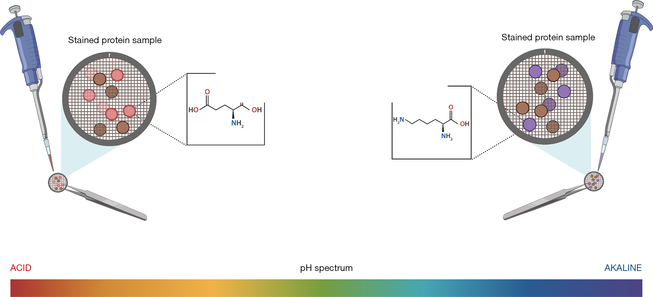 figure9