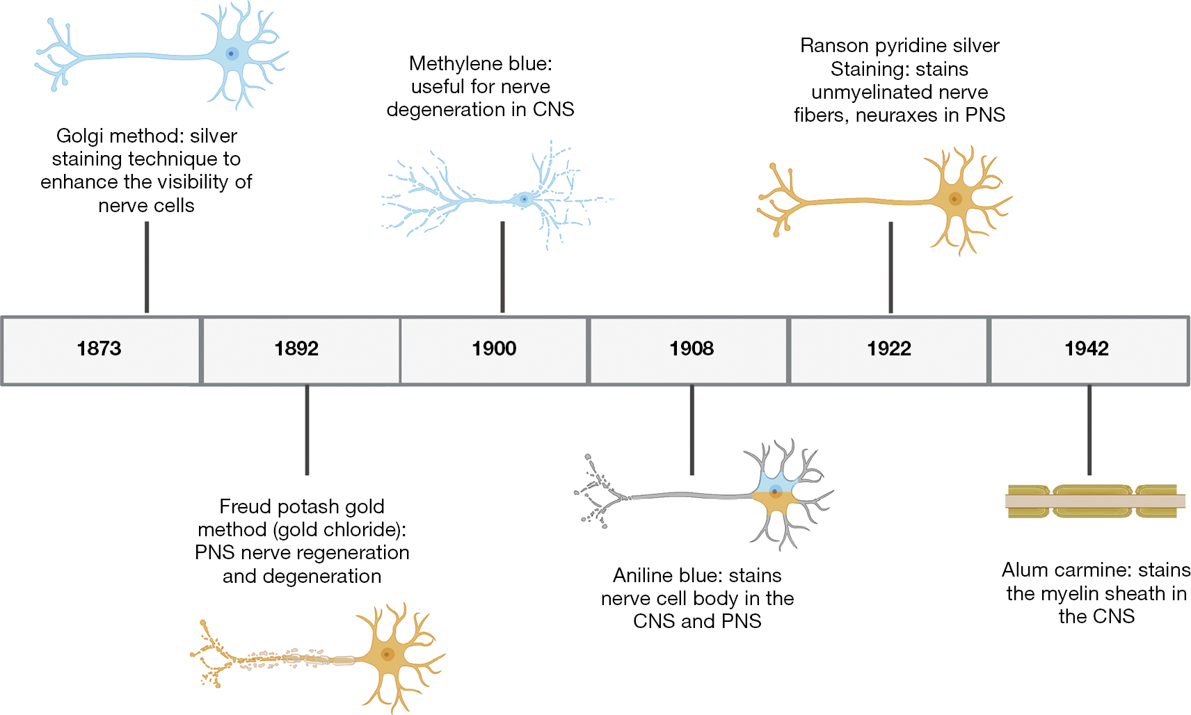 figure1