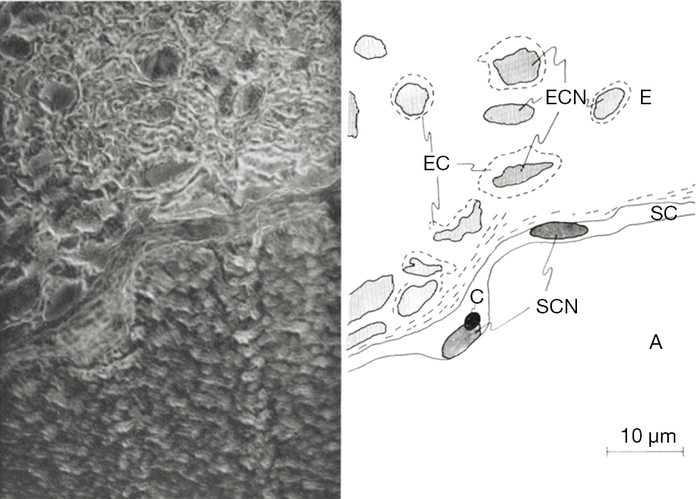 figure3