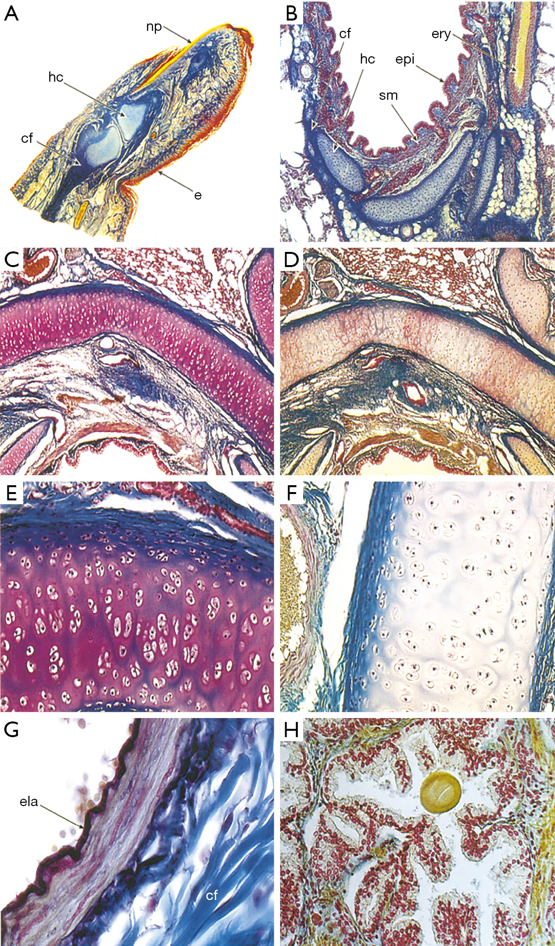 figure4