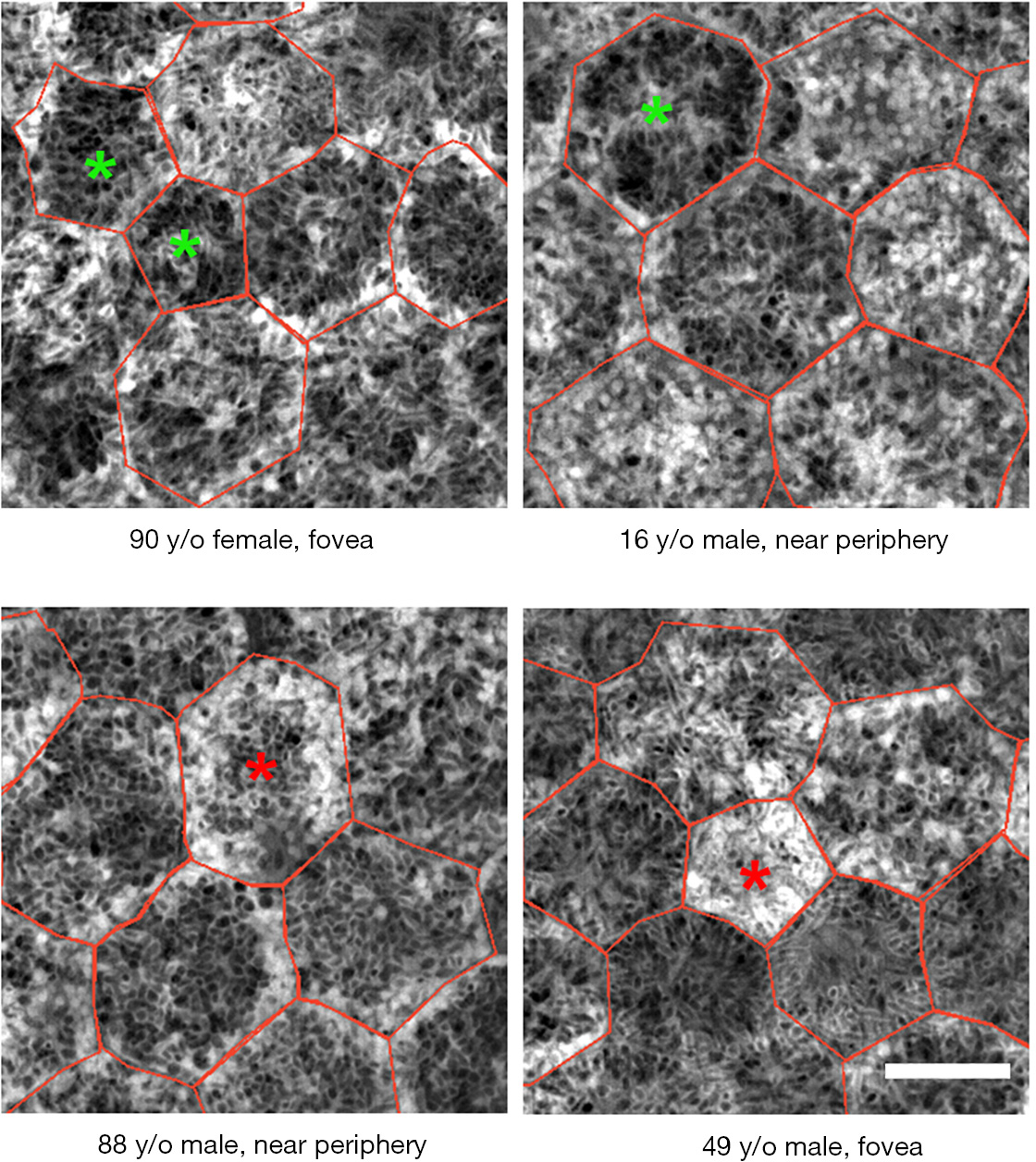 figure3