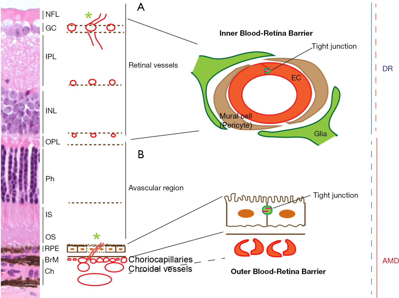 figure1