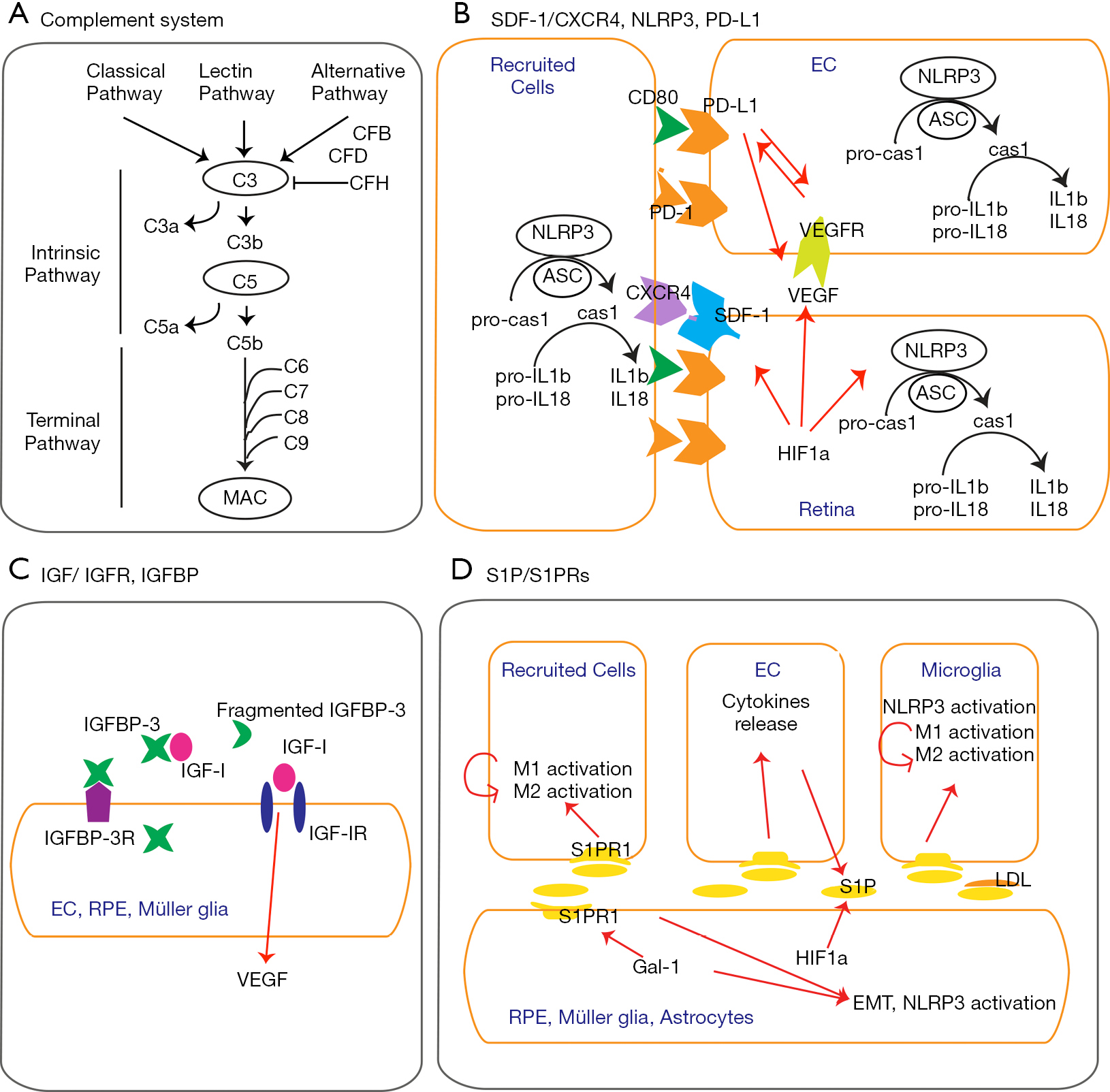 figure4