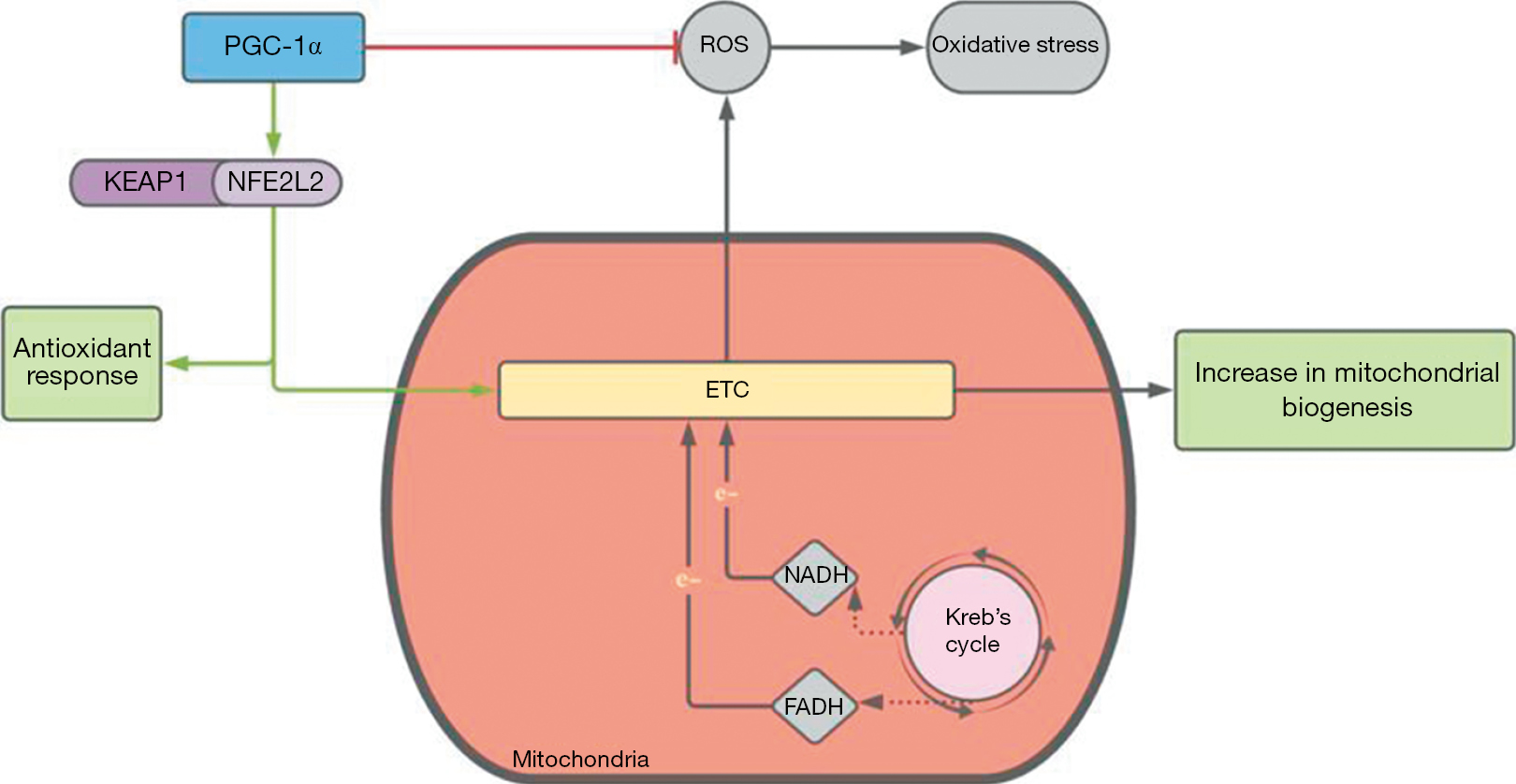 figure1