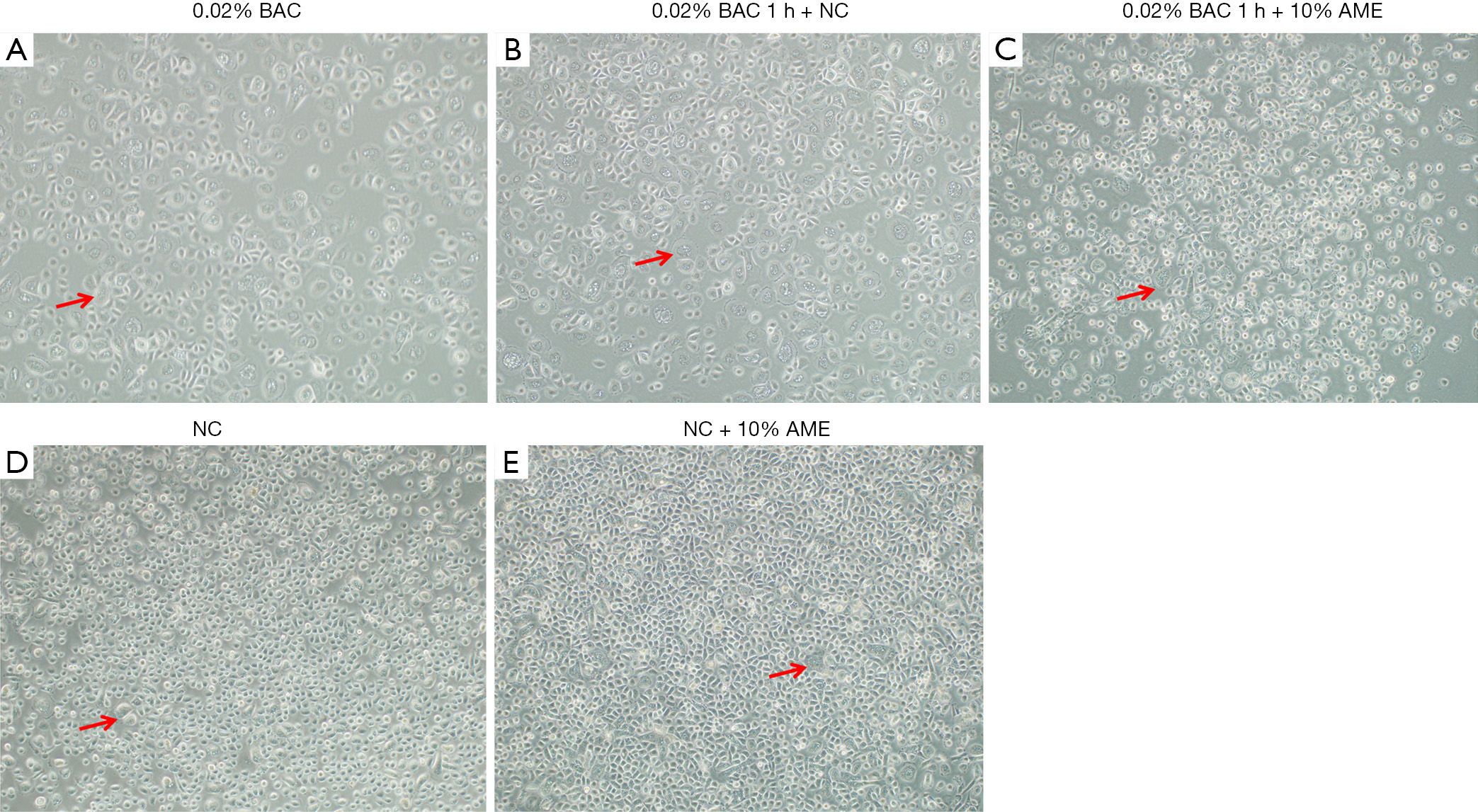 figure2