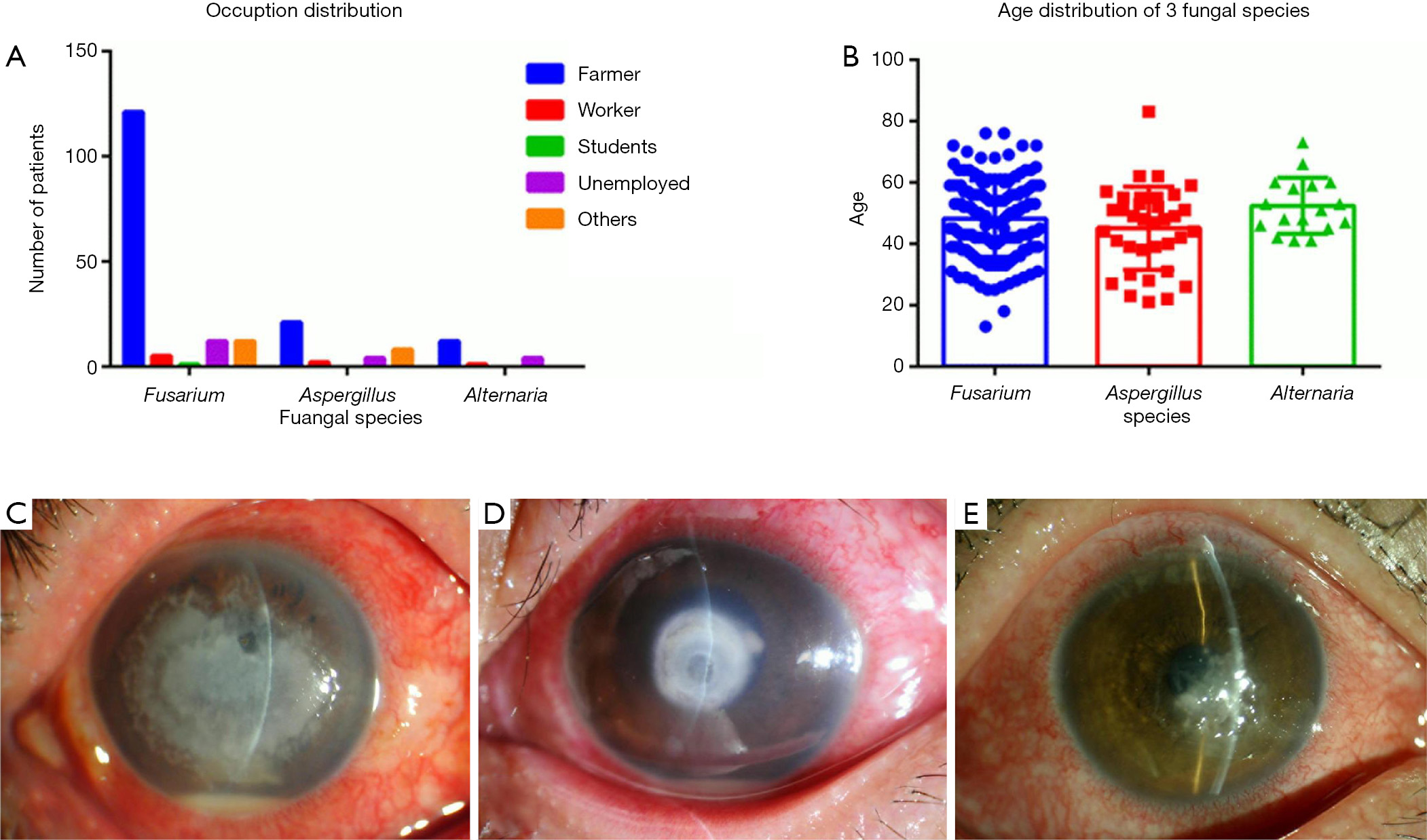 figure1