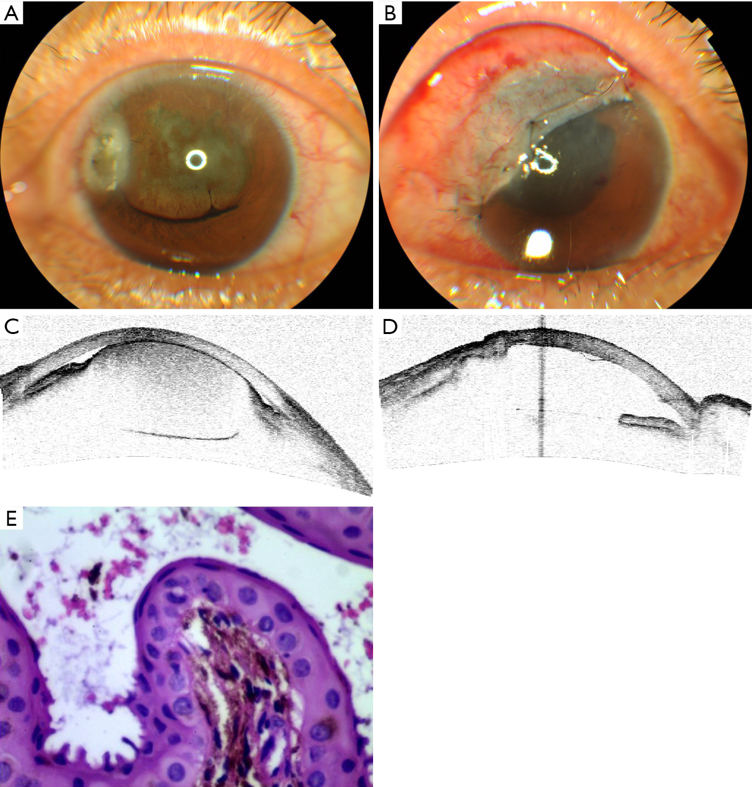 figure2