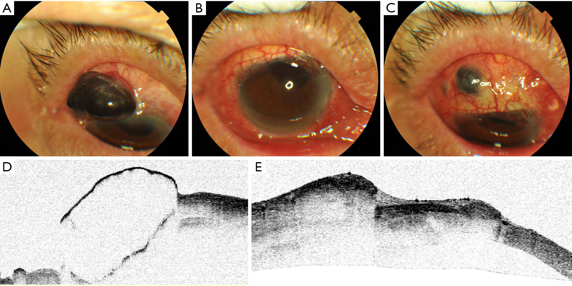 figure2